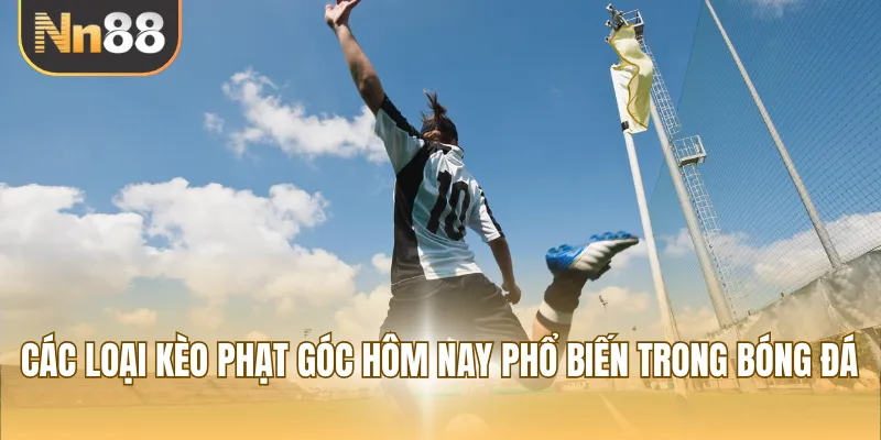 Các loại kèo cược phạt góc hôm nay phổ biến trong bóng đá
